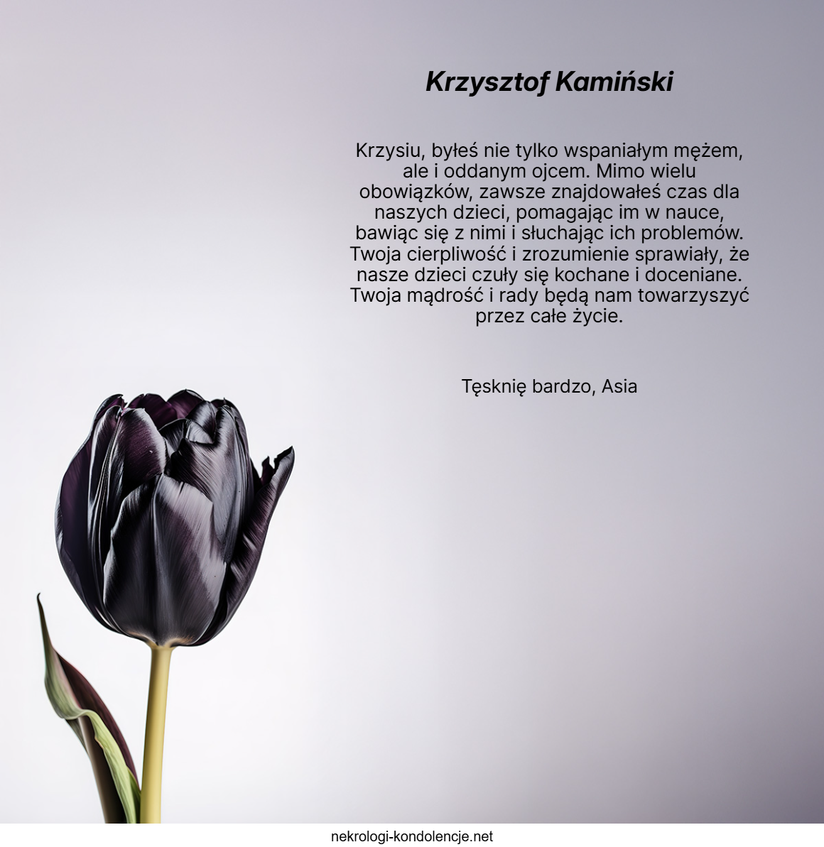 Wspomnienie - Krzysztof Kamiński