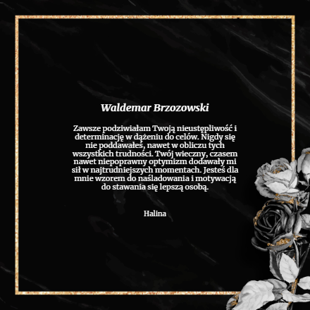 Wspomnienia - Waldemar Brzozowski
